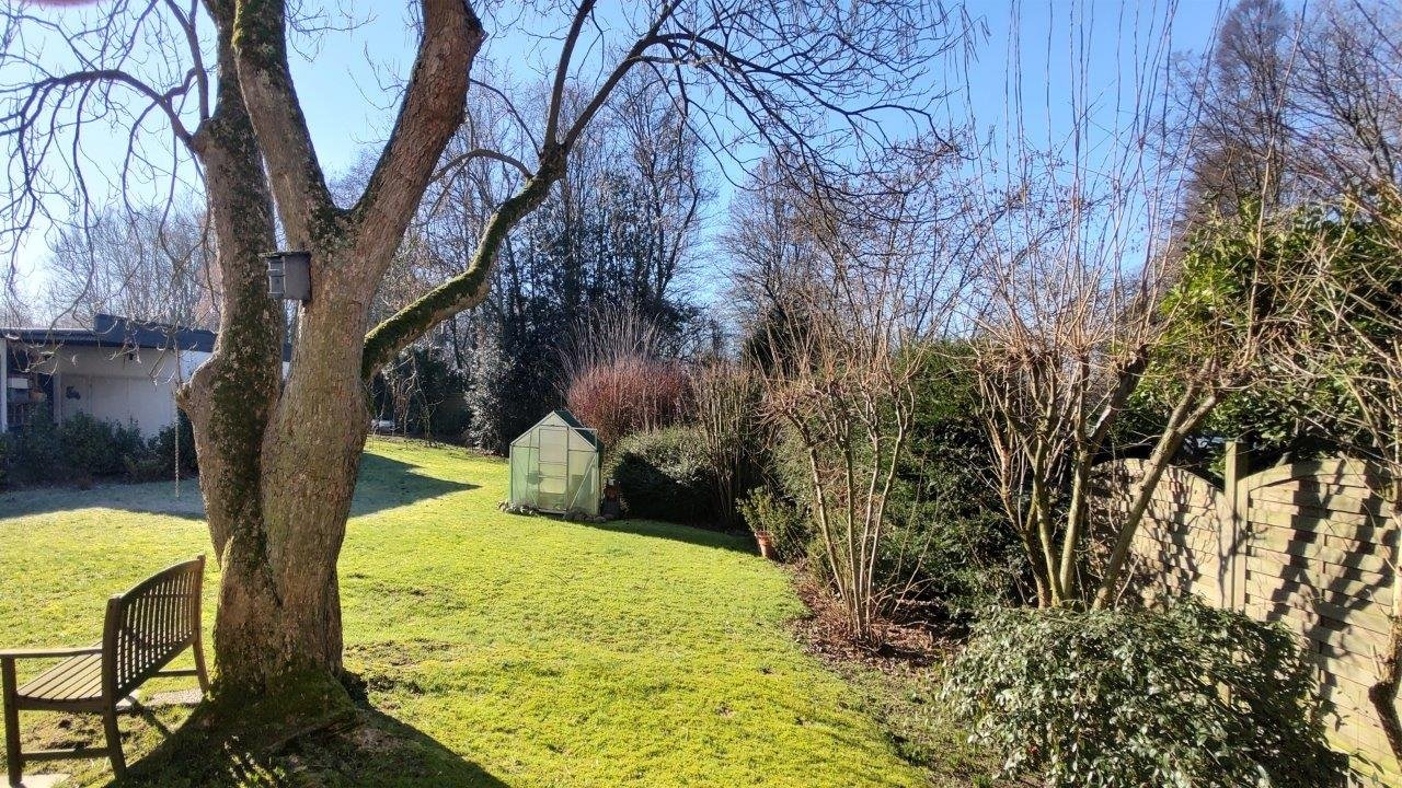 Thonen Immobilien Immobilien, Vermarktung, Neubau, Häuser und